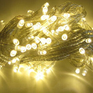 10M 100 LED String Decoration Light For Festival Party 220V